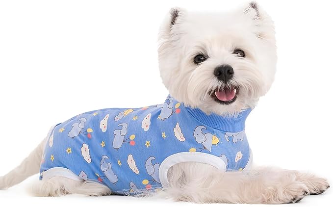 2 Packs Pet Dog Recovery Onesie Suit for Dogs Cats After Surgery,Dog Abdominal Wounds Bandages Cone E-Collar Alternative. (Blue, S)
