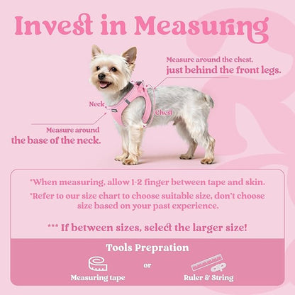 rabbitgoo Small Dog Harness, Step-in Soft Mesh Puppy Vest with Safety Buckle, Breathable Reflective Pet Harness for Small Medium Dogs, Light Pink L