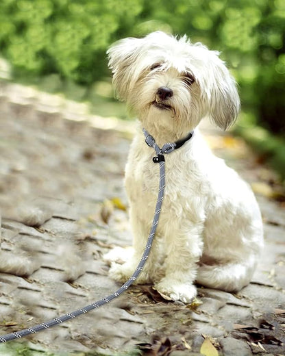 TagME 6ft Slip Dog Lead, No Pull Reflective Training Leash with Padded Handle, Professional Rope P-Leash for Small Medium Large Dogs, Heavy Duty Correction Lead for Walking & Training (Gray)