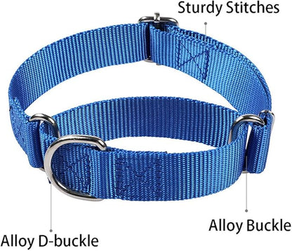 Martingale Collar for Dogs, Escape Proof Dog Choke Collar No Pull Cinch Dog Training Collars Adjustable for Small Medium Large Breed Pet Dogs, Pink L