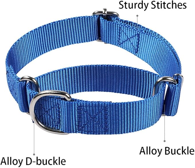 Dog Collar Martingale, Escape Proof Dog Choke Collar No Pull Cinch Dog Training Collars Adjustable for Small Medium Large Breed Pet Dogs, Light Blue S