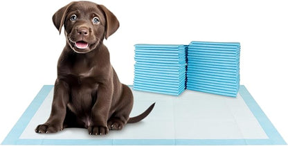 BV XXL Puppy Pads 20 Count 36" x 30" - Leak-Proof Pee Pads for Dogs with 6-Layer Design, Rapid Dry Sheet & Attractant - Dog Pad Extra Large with Odor Control - Perfect for Big Dogs & Indoor Use