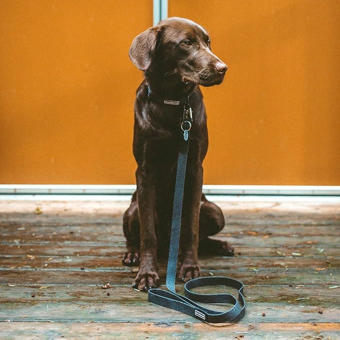 Wilderdog Waterproof Dog Collar - Repels Water & Dirt - Medium 13"-18" - Black