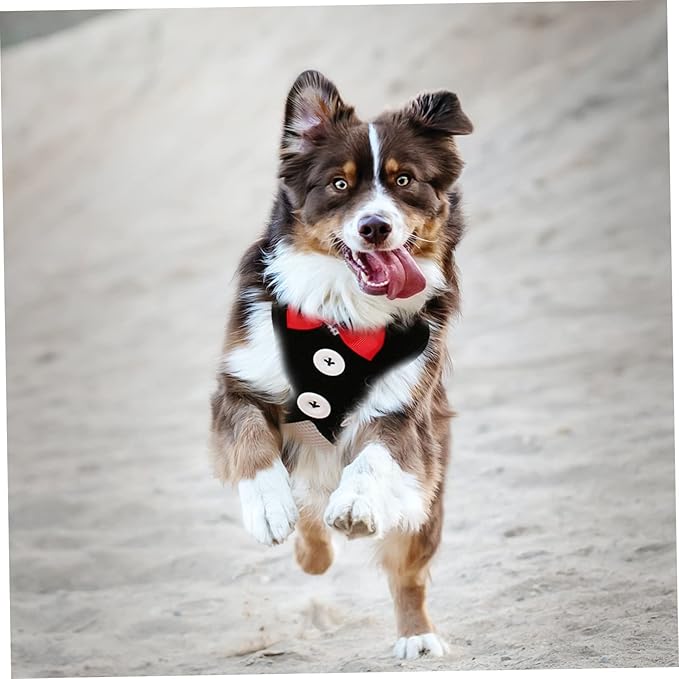 COLLBATH Small Dog Harness and Leash Set Style Tactical Harness Pet Vest Leash Kit