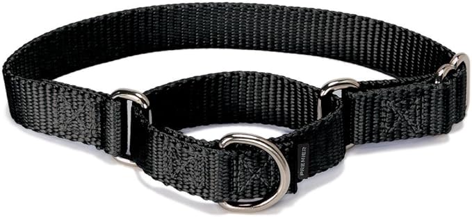 PetSafe Adjustable Martingale Collar - Only Tightens When Dogs Pull, Prevents Slipping Out - Helps with Strong Pullers, Increased Control - Alternative to Choke Collar - 1", Medium, Black