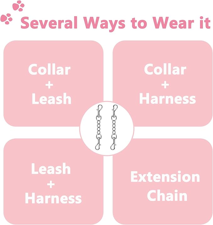 2 PCS Dog Collar Metal Safety Clip, Harness Collar Leash Chain Connector, Heavy Duty Double End Spring Backup Buckle Clasp, Escape-Proof Safety Accessory (Small, Silver)