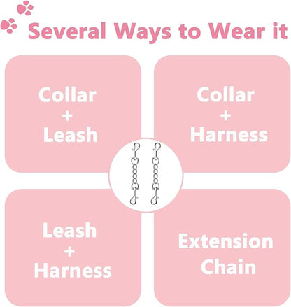 2 PCS Dog Collar Metal Safety Clip, Harness Collar Leash Chain Connector, Heavy Duty Double End Spring Backup Buckle Clasp, Escape-Proof Safety Accessory (Small, Silver)