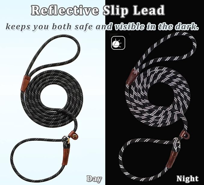 WYUZE 2-Pack 8ft Slip Lead Dog Leash, Reflective No Pull Dog Training Lead, 1/3" Nylon Rope Easy On/Off Slip Control Leash for Small Medium Dogs (Black+Blue)