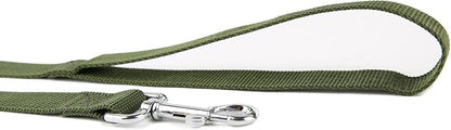 Nylon Dog Training Leash, Traction Rope, 4/5/6 Feet Long, 3/4 Inch 1 Inch Wide, for Small and Medium Dogs (1'' x 5 FT, Green)