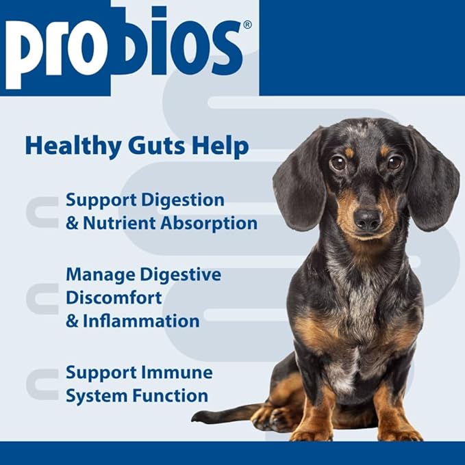 Probios for Dogs Soft Chews, Probiotics for Dogs, Daily Supplement for Gut Health, Digestion & Immune Support, Small Breeds, 4.23oz (Pack of 2)