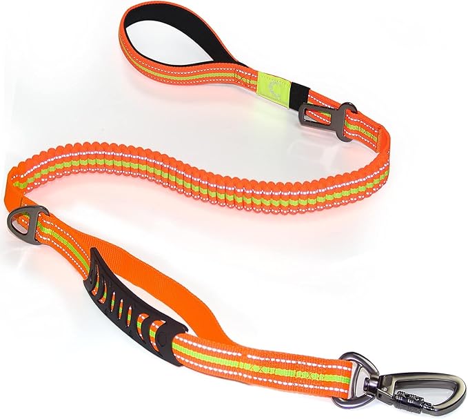 No-Pull Shock Absorbing Bungee Leash for Large Dogs, 4-6 FT Heavy Duty Dog Leash with Traffic Handle & Seat Belt Buckle, Reflective, Up to 150 Lbs