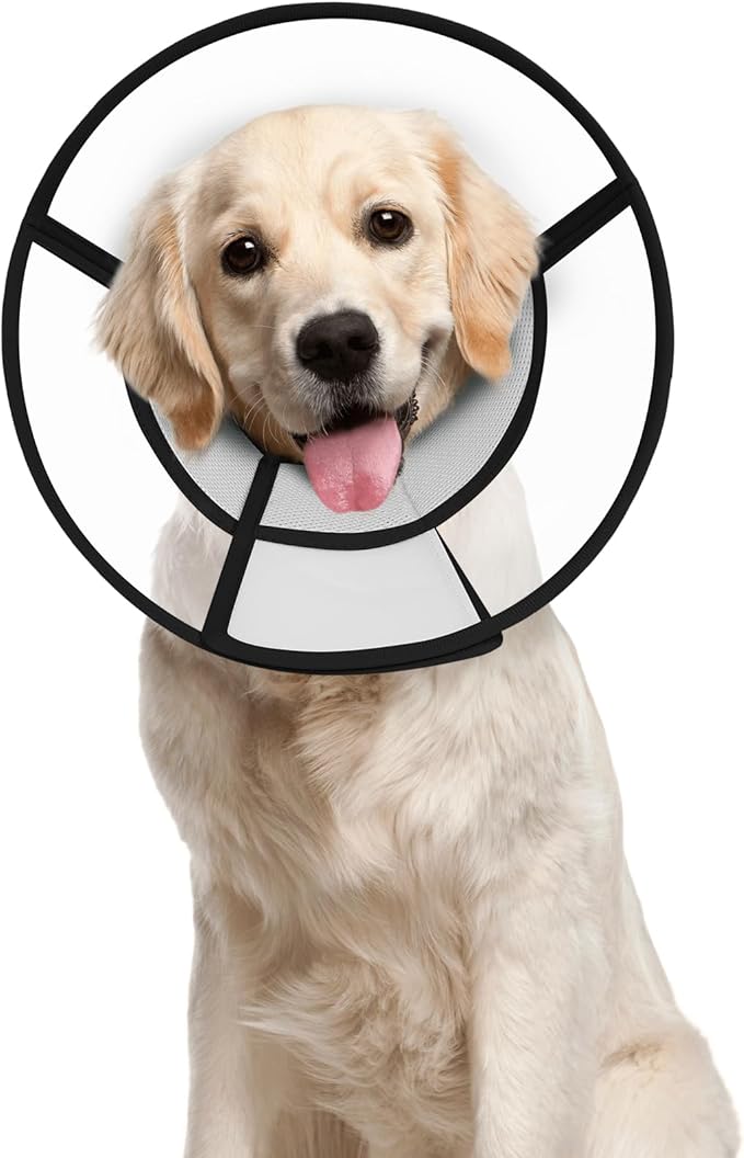 Dog Cone Collar After Surgery to Stop Licking, with Soft Waterproof Liner, Transparent PVC, for Large Medium Dogs, Elizabeth Neck Recovery Collar ALtermative(XL,Grey)