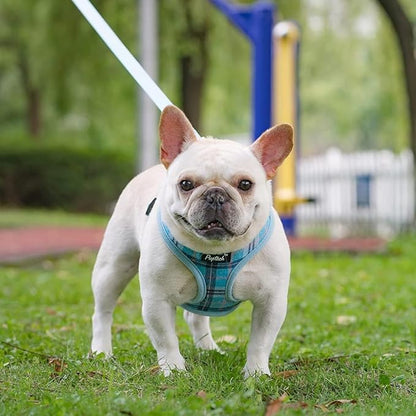 PUPTECK Soft Mesh Dog Harness and Leash Set Pet Puppy Cat Comfort Padded Vest No Pull Harnesses, Light Blue, L
