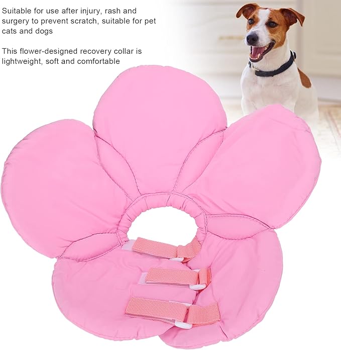 Dog Cone Collar, Wound Healing Protective Cone Surgery Recovery Collars Dog Donut Collar After Surgery Elizabethan Collar for Dogs Adjustable Soft Neck Cone for Small Pet (M)