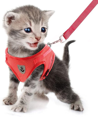FEimaX Dog Harness and Leash Set for Walking, Soft Mesh Adjustable Easy Control Lightweight Cat Vest Harnesses with Reflective Strips, Escape Proof Small Dogs Cats Vests (Red, Large)