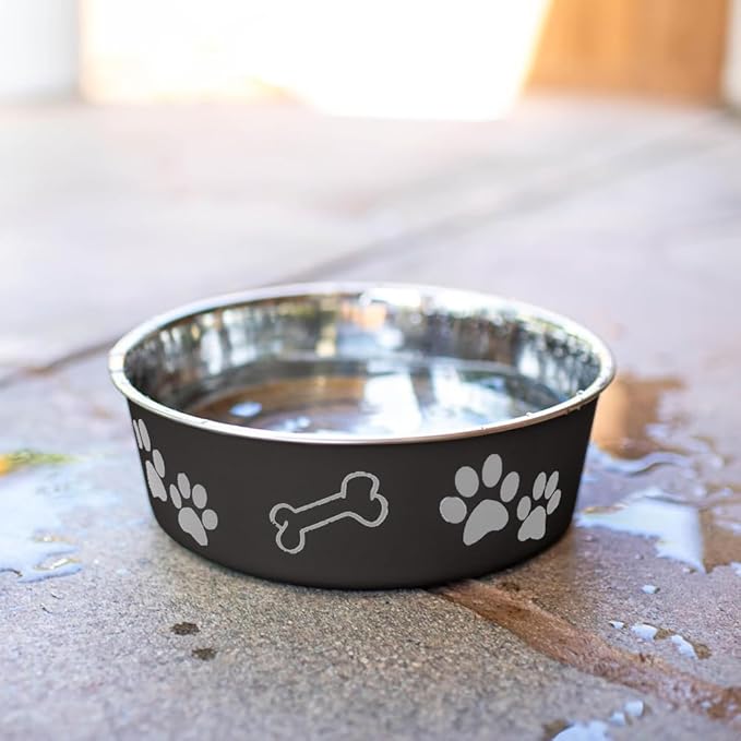 Loving Pets Bella Dog Bowls- Stainless Steel Dog & Cat Bowls - Spill Proof Dog Food Bowl, Cat Bowl, Puppy Essentials & Pet Supplies Great for Home & Travel (Small 10-20 lbs, Espresso)