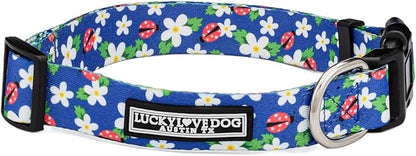 Lucky Love Dog - Adjustable Dog Collar with Easy Click Buckle for Small Dogs, Durable, & Comfortable for Male & Female Dogs, Pet Collar for Puppies & Adult Dogs - Lilian, Small