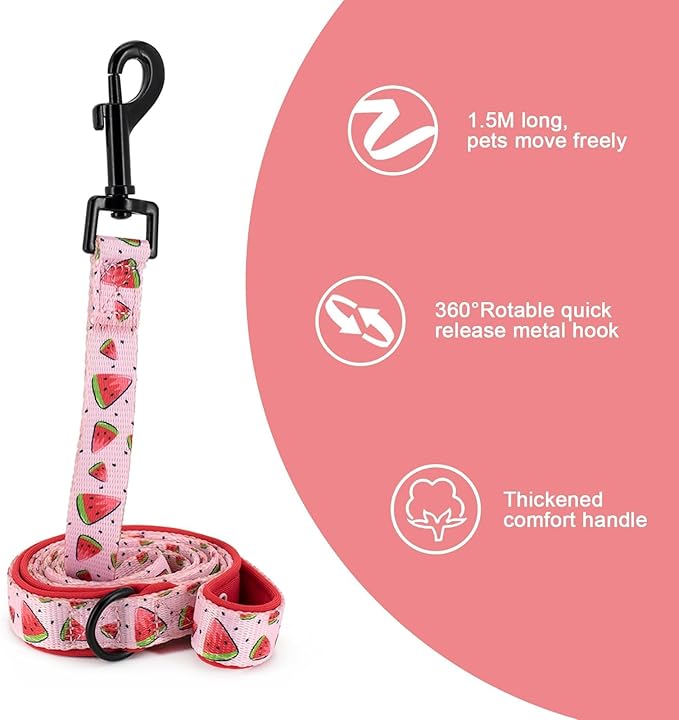 Coowone Dog Harness and Leash Set, Adjustable Puppy Harness and Soft Padded Dog Vest Clothes for Small Medium Large Dogs