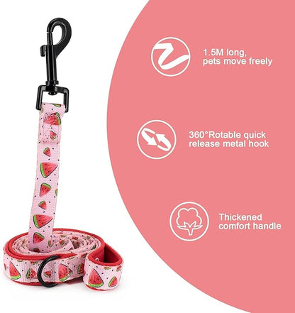 Coowone Dog Harness and Leash Set, Adjustable Puppy Harness and Soft Padded Dog Vest Clothes for Small Medium Large Dogs