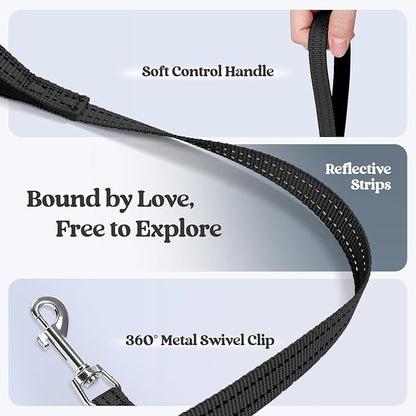 rabbitgoo Dog Harness Small Sized and Leash Set, Step in Soft Light Puppy Vest, Breathable Mesh Pet Harness, Reflective for Outdoor Safe Walking, Black XXXS