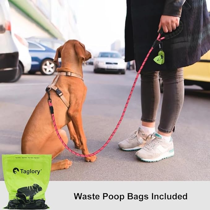 Taglory Rope Dog Leash 5 FT with Comfortable Padded Handle, Highly Reflective Threads Leash and Anti-Tangle Clip for Walking Small Dogs, 3/8 inch, Pink