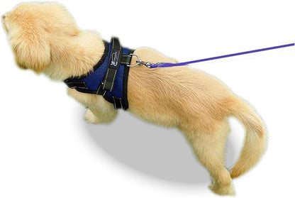 No Pull Reflective Adjustable Dog Harness With Handle- Comfortable Soft All Weather Mesh, Easy On Puppy Harness For Small Medium and Large Dogs (Blue) X-Small