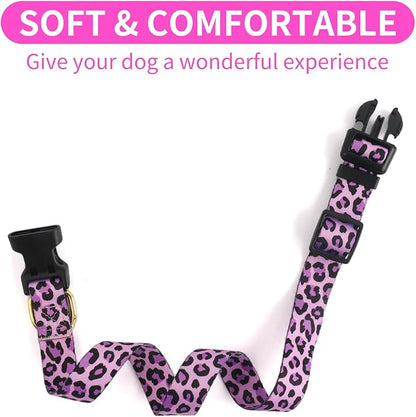 QQPETS Adjustable Soft Dog Collar: Print Flower Pink Multicolor Cute Patterns for XS Small Medium Large Pet Girl Boy Puppy Walking Running Training