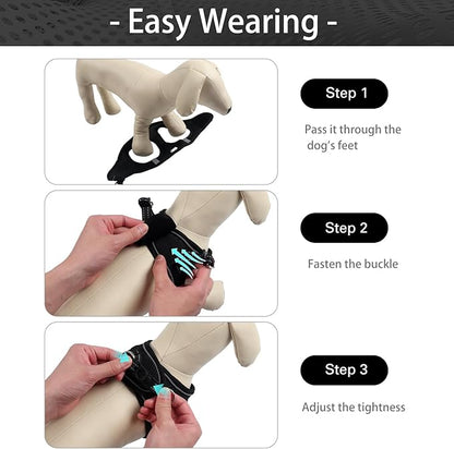 Dog Harness for Small Dogs and Leash Set, Honeycomb Grid, Reflective Lightweight Harness & Anti-Twist Pet Lead (Multi Color, Size: XS-S-M) (M, Black)