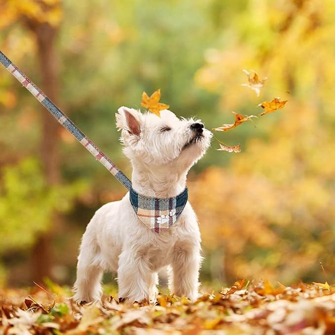 EXPAWLORER Dog Collar and Leash Set - Embroidery Pawprints Plaid With Bow Tie and Bandana, Adorable for Dogs Cats Outdoor Walking, Khaki M