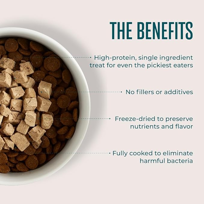 WagWell Freeze-Dried Beef Dog Treats - Grain-Free, High-Protein Fully Cooked Dog Treats Made in The USA - Human-Grade, Minimally Processed & Preservatives Free