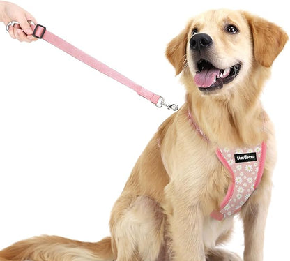 VavoPaw Dog Seat Belt, Safety Vest Dog Car Harness with Adjustable Buckle Dog Seat Belt for Vehicle Nylon Pet Safety Seat Belts Heavy Duty(L, Pink Daisy)