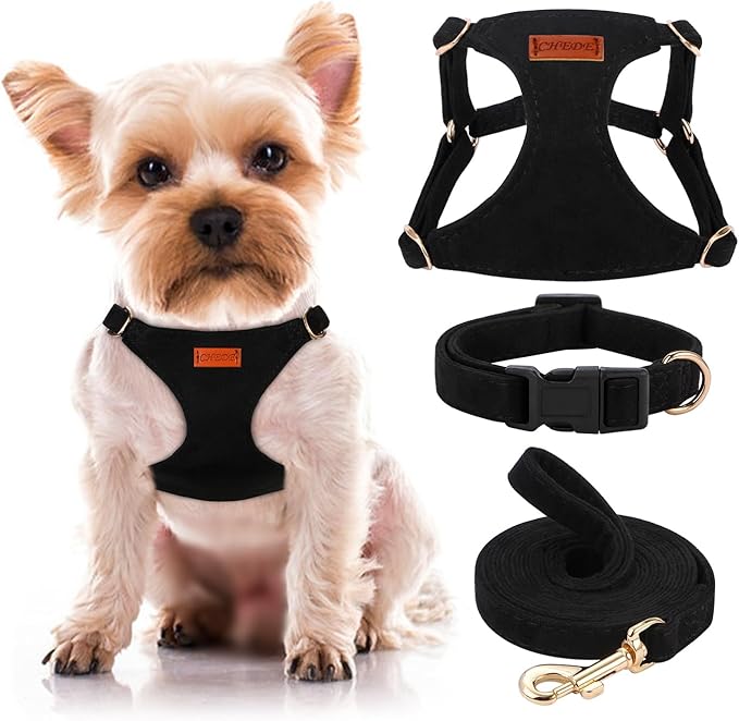 No Pull Dog Harness- Lightweight, Soft, Adjustable Small Harness Collar and Leash Set, Suitable for Cats Puppy Small and Medium-Sized Dog Outdoor Training and Running (Black, XXS)