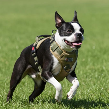 Tactical Dog Harness and Leash Set, No-Pull Adjustable Puppy Vest Collar with Handle, Dual Leash Clips, Reflective Oxford Chest Harnesses with Leashes for Small Dogs Pulling Support S Size
