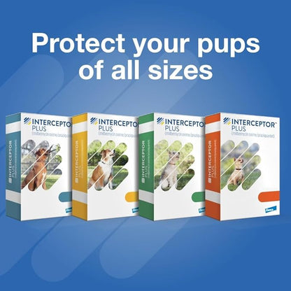 Interceptor Plus Prevention for Heartworm + 4 Other Worms for Dogs 50.1-100 lbs. | 6 Chews, 6-Month Supply
