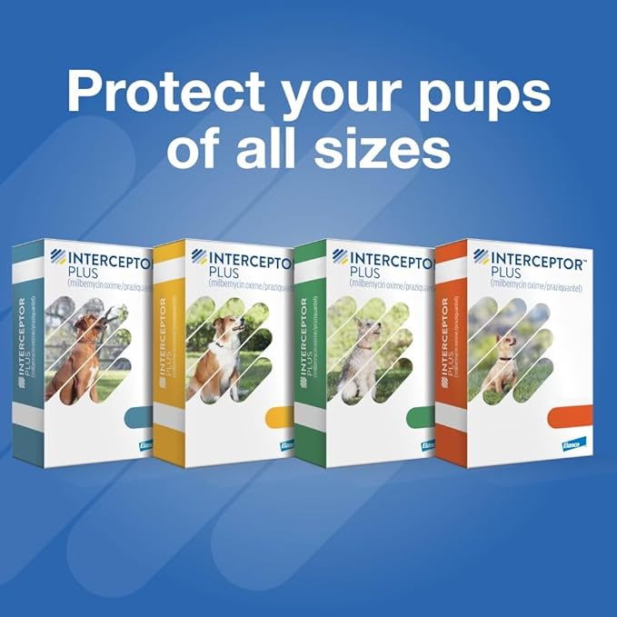 Interceptor Plus Prevention for Heartworm + 4 Other Worms for Dogs 25.1-50 lbs. | 1 Chew, 1-Month Supply