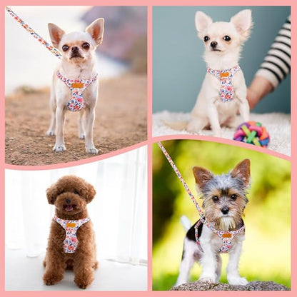 Lukovee Puppy Harness and Leash Set, No Pull Lightweight Soft Suede Adjustable Pet Harness Vest with Snap Buckle for Puppy Small and Medium Size Dog (Flower-S)