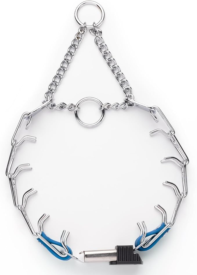 Herm Sprenger Chrome Plated Steel Dog Collar with Quick Release ClicLock Buckle O-Ring Biothane Insert Training Collar Made in Germany (Cerulean Blue, 16in x 2.25mm(Neck Size up to 13-14in))