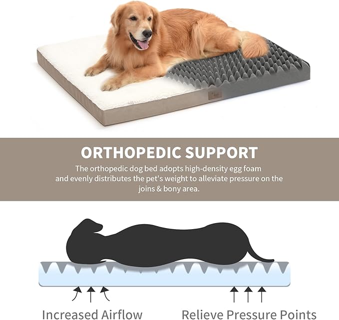Orthopedic Dog Bed for Large Dogs, Plush Washable Pet Bed for Large Size Dogs with Egg Crate Foam & Removable Oxford Cover, 36x27 Inch, Khaki White