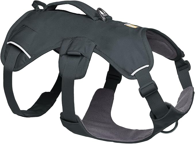 Ruffwear, Web Master, Multi-Use Support Dog Harness, Hiking and Trail Running, Service and Working, Everyday Wear, Basalt Gray, X-Small