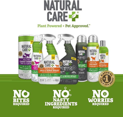 Natural Care Flea and Tick Spray for Dogs - Flea & Tick Treatment for Dogs - Flea & Tick Killer with Certified Natural Oils - 14 Ounces