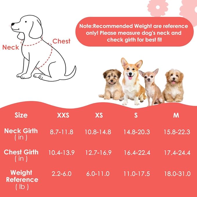 SlowTon Dog Harness Small Sized Dog - Soft XXS Dog Harness and Leash Set No Pull No Chock, Adjustable Lightweight Puppy Harness for XS Small Medium Dogs Cats (Purple Dasiy, XS)