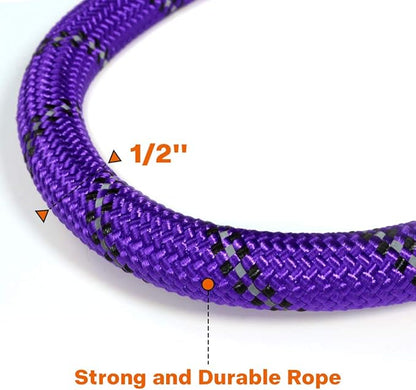 Taglory Rope Dog Leash 5 FT with Comfortable Padded Handle, Highly Reflective Threads Leash and Anti-Tangle Clip for Walking Medium Large Dogs, 1/2 inch, Purple