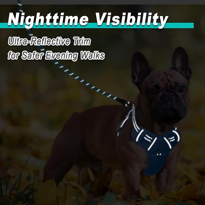 BARKBAY Dog Harness No Pull Mesh for Small Dogs - Adjustable, Reflective, Comfortable, No Choke, Heavy-Duty - Perfect for Outdoor Training, Walking, and Hiking - Strong & Durable - S & Blue Mesh