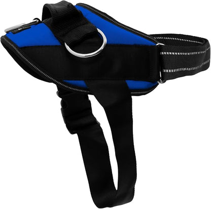 ShawnCo Essential Dog Harness, No-Pull Pet Vest with 3 Leash Clips, No Choke, Reflective, Adjustable and Padded, for Easy Walking and Training for Small, Medium and Large Dogs (Electric Blue,XL)