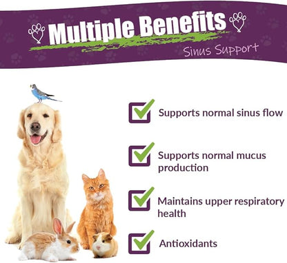 Amber NaturalZ Pet C&C Herbal Supplement for Dogs, Cats, Birds, Guinea Pigs, and Rabbits | Pet Herbal Supplement for Healthy Sinus | 1 Fluid Ounce Glass Bottle |Manufactured in The USA