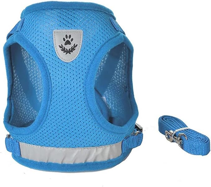 FEimaX Dog Harness and Leash Set for Walking, Soft Mesh Adjustable Easy Control Lightweight Cat Vest Harnesses with Reflective Strips, Escape Proof Small Dogs Cats Vests (Azure, Large)