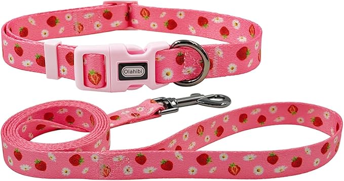 Dog Collar Leash Set, Floral Pattern, Polyester Material, Adjustable Collar and 5ft Matchcing Leash, for Large Dogs.(L, Daisy and Strawberry)
