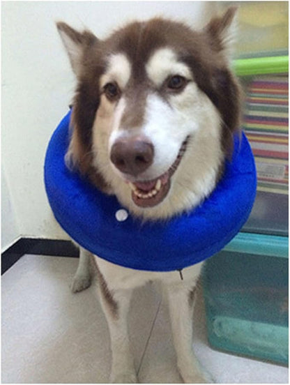 Inflatable Dog Neck Collar PVC Soft Warm Comfortable Protective Recovery Cone for Post Surgery Skin Itching Pets (Blue)