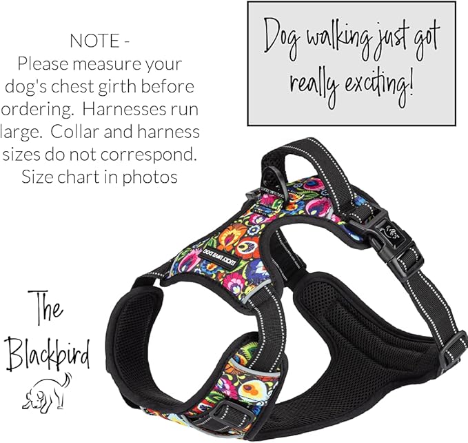 Lucky Love Dog No Pull Dog Harness, Adjustable and Easy to Walk, Cute Patterned Harness for SmallMale & Female Dogs - Blackbird, Small