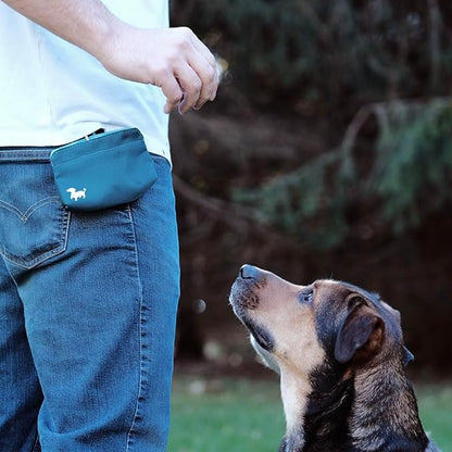 Pocket Sized Dog Treat Pouch - Treat Pouches for Pet Training - Medium Dog Treat Pouch with Magnetic Closure - Dog Walking Treat Bag for Dog Training - Turquoise
